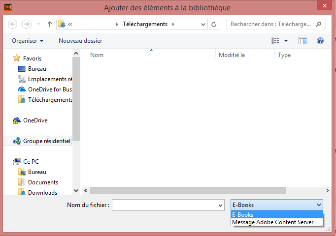 lire_adobe3.png