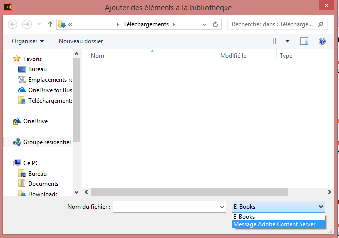 lire_adobe2.png
